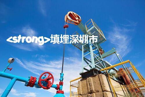 <strong>填埋深圳市危險(xiǎn)廢物處理站有限公司化工設(shè)施安全解體：如何高效處理復(fù)雜工業(yè)遺留問題？</strong>